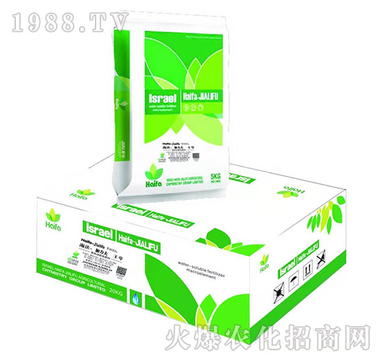 �����������̖-�����