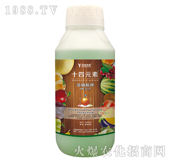 1000g十四元素-云臺大化