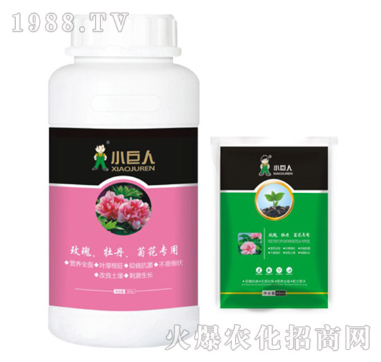 õ�塢ĵ�����ջ���(zhu��n)���{(di��o)��(ji��)��-С����