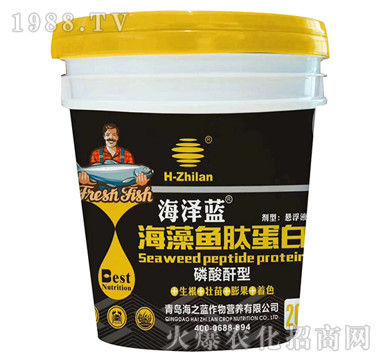 �������ͺ����~����-�����{