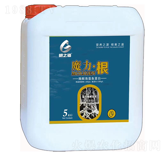 ø�⺣���~(y��)����-ħ������-��֮��