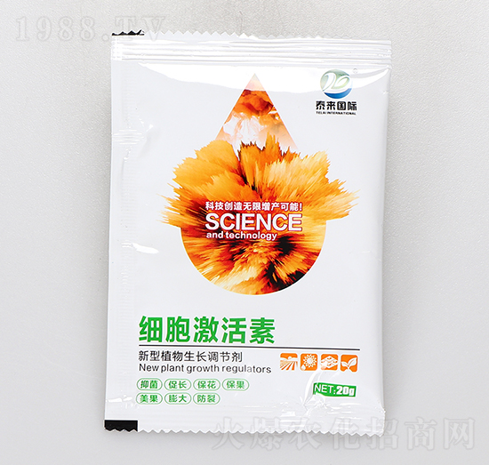 ����ֲ�����L(zh��ng)�{(di��o)��(ji��)��-̩���(gu��)�H