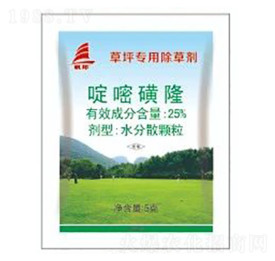 25%��׻�¡-ϲ�S��