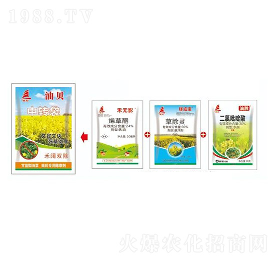 ���{���Ͳ�������ó��݄�-��ؐ-ϲ�S��