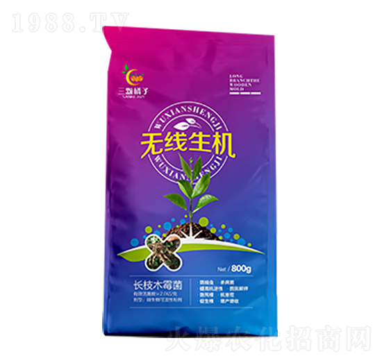 無線生機(jī)-三顆橘子