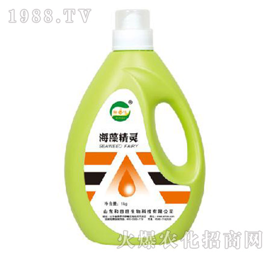 ���徫�`-����������