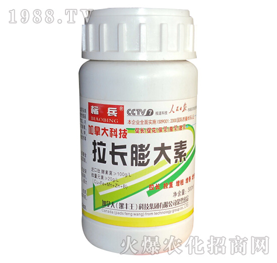 拉長膨大素-標兵-漯豐王