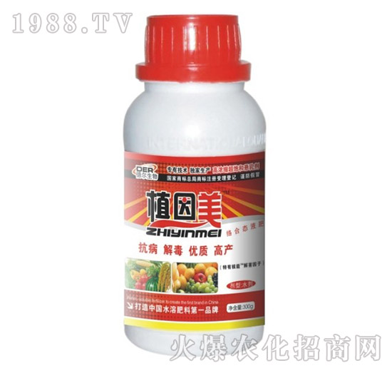 ͨ����ֲ����-� �����