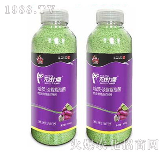 �o(w��)������-�����-���A����(l��)