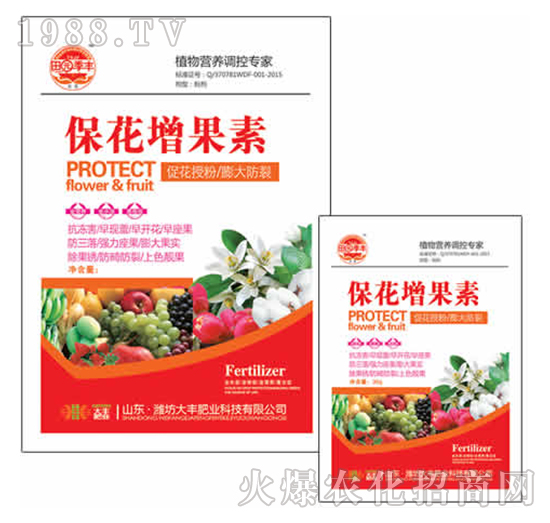 25g����������-��@���S-���S�ʘI(y��)