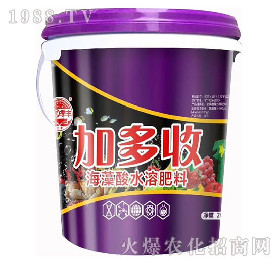 �Ӷ���-��@���S-���S�ʘI(y��)