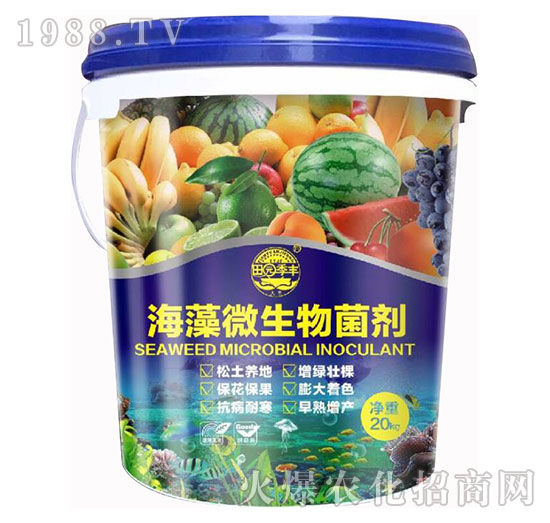 ����΢�������-��@���S-���S�ʘI(y��)