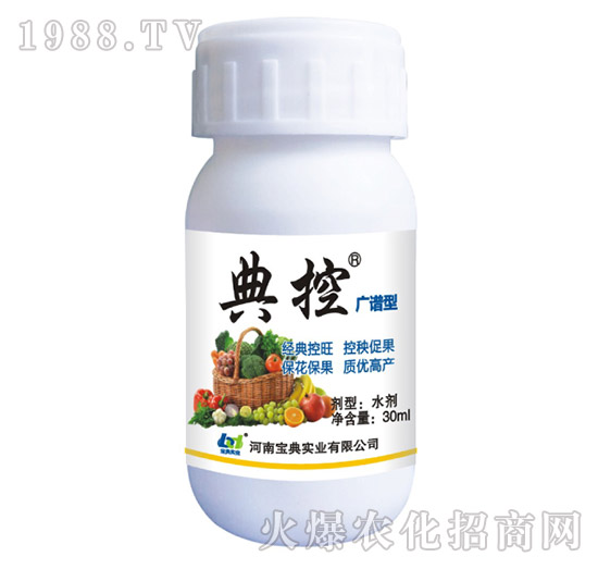 �V�V��-���-���䌍�I(y��)