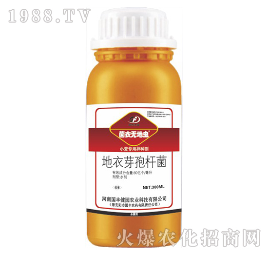 С�����ð�N��-���o���x-��(gu��)�S���@