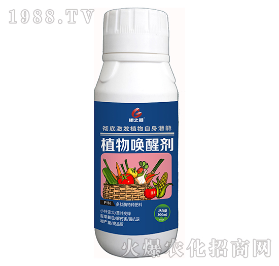 ֲ��ф�-��֮��