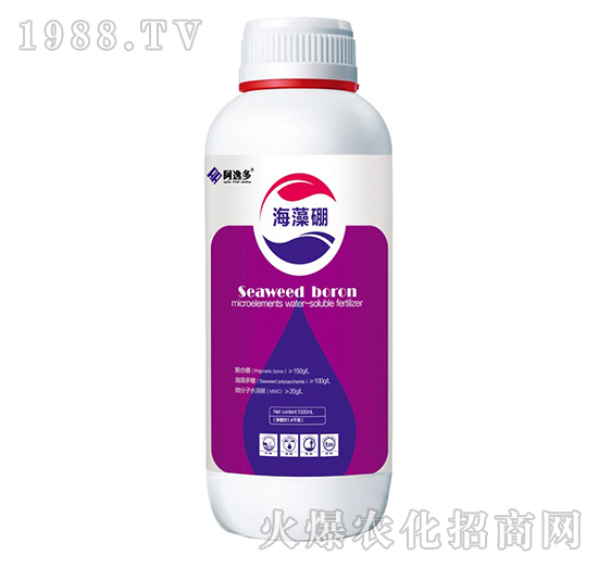 ������-���ݶ�-�W���r(n��ng)�I(y��)