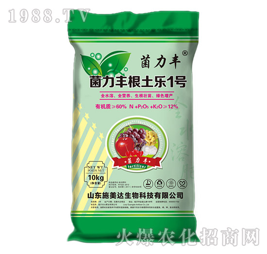 �����S������1̖-�����S-ʩ���_