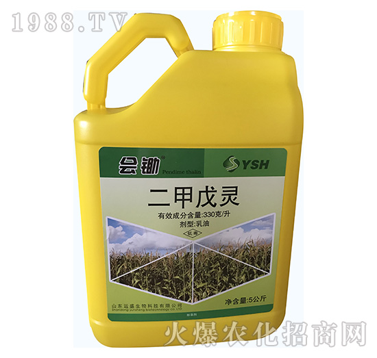 �������`-���z��5���-�\ʢ����