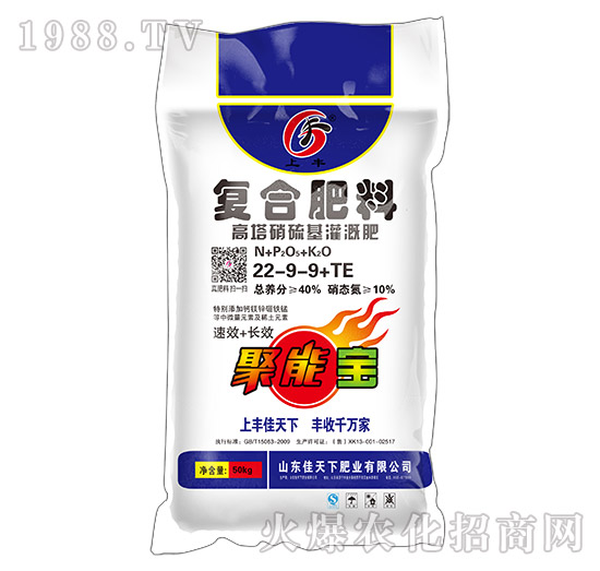 �����������ȏͺϷ���22-9-9+TE���S-������