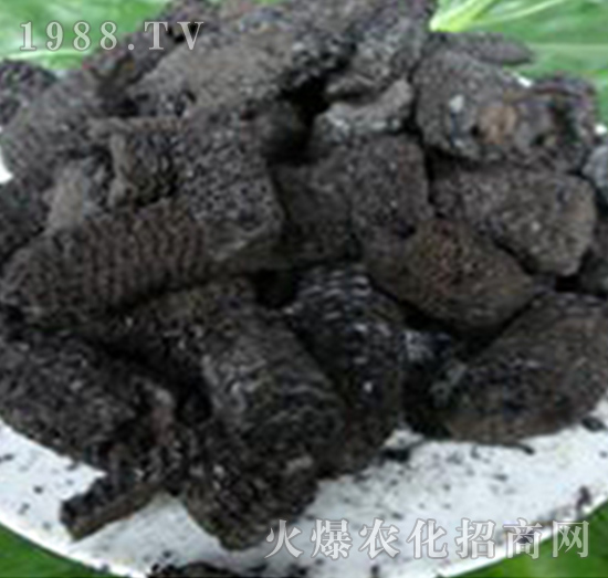 ����о̿-��(r��n)�f(w��n)���r(n��ng)�I(y��)