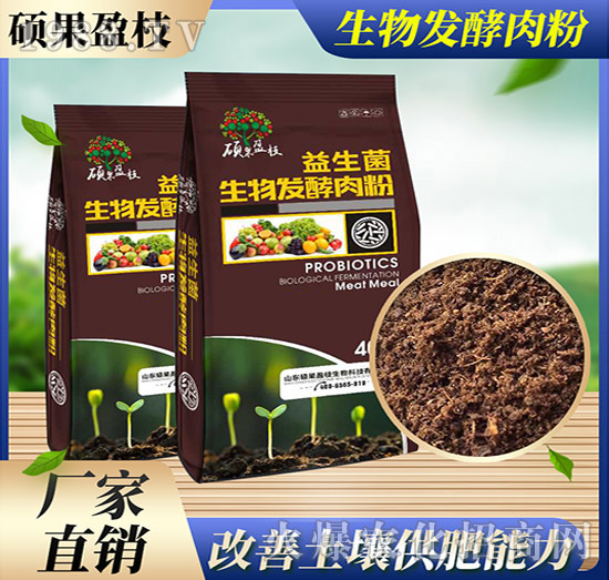 ����l(f��)�����-������-�T��ӯ֦