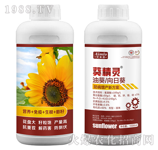 �Ϳ�/���տ��������a(ch��n)�·���-�����`-������