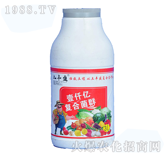 �����{�턩-���Sʢ-�����_