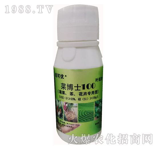 �˲�ʿ100���߲����������܌��ã�-���Ƀ�(y��u)-��Ɔ���