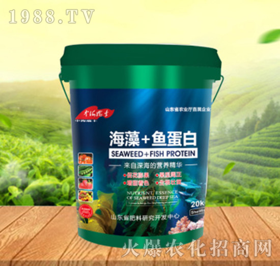 ����+�~����-���ԁ��