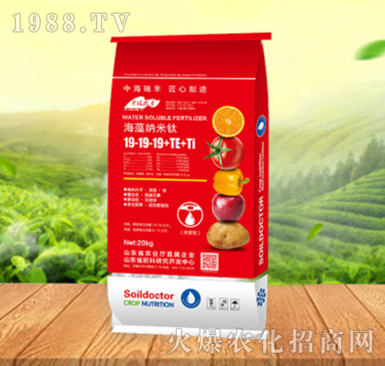 ����{����19-19-19+TE+Ti-���ԁ��