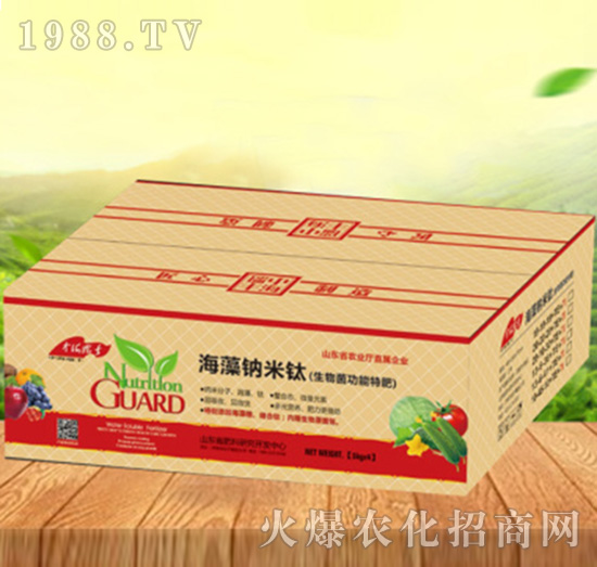 ����{����-���ԁ��(l��)