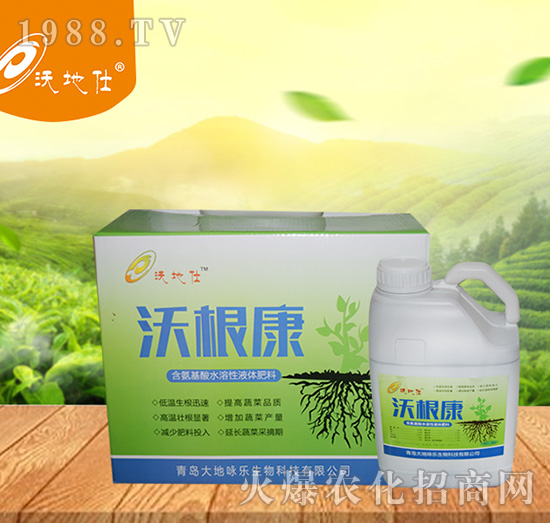 �ָ���-���ԁ��