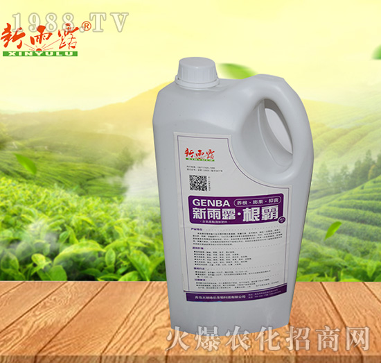 ����¶������-���ԁ��