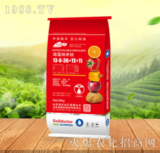 ����{����13-6-36+TE+Ti-���ԁ��(l��)