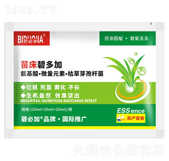 �紲�̶��-�κ�����