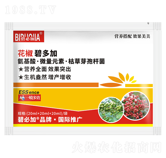 �����̶��-�κ�����