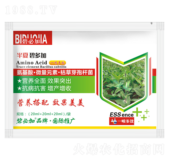 ���ı̶��-�κ�����