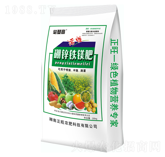 �������\�F�V��-�صǸ�-�����r(n��ng)��