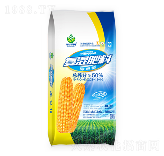 ���ȩ��(f��)�����28-12-10-�R�S����