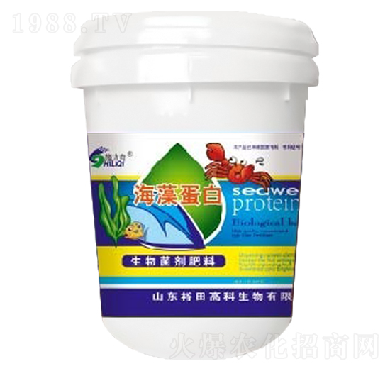 ���嵰��-ʩ����-ԣ��߿�