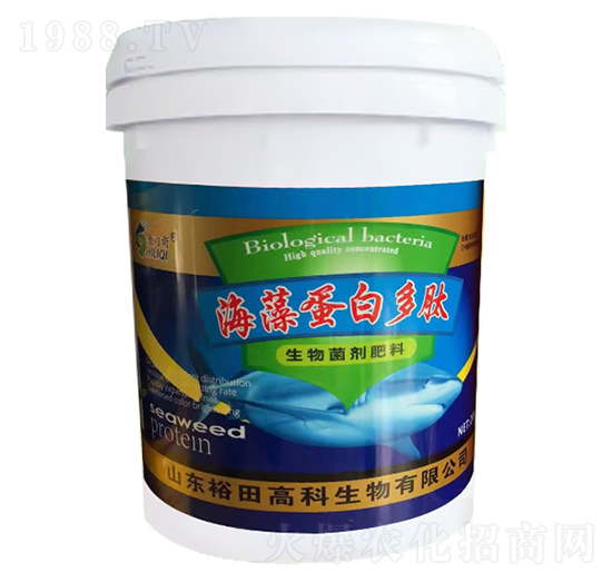 ���嵰�׶���-ʩ����-ԣ��߿�