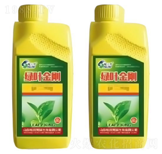 �G�~����-ʩ����-ԣ��߿�