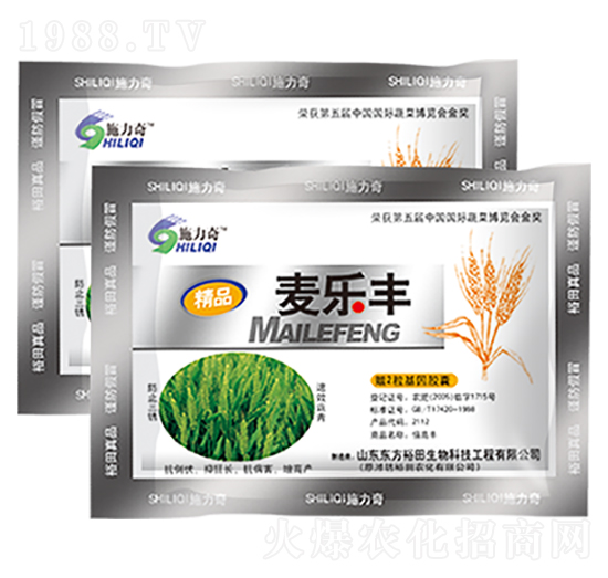 ����(l��)�S-ԣ��߿�