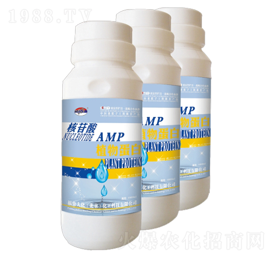 ֲ�ﵰ��-������