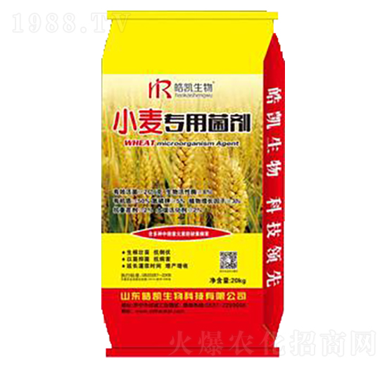 С�����þ���-�P����