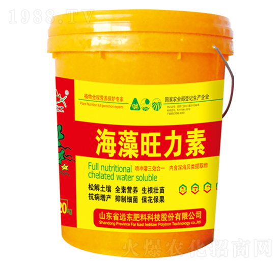 ����������-�h�|����