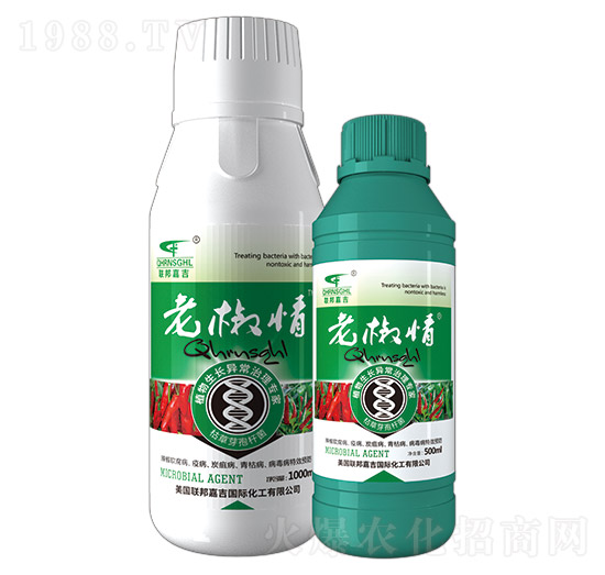 �Ͻ���-(li��n)��μ�