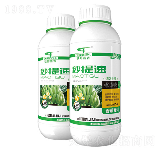 �㽶����-�����٣���Ч�����-��μ�