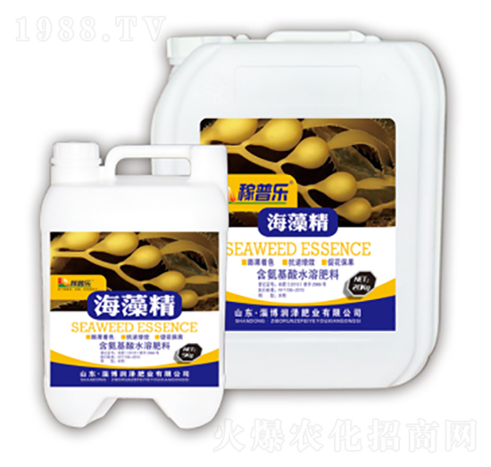 ���徫-���՘�-���ɷʘI(y��)