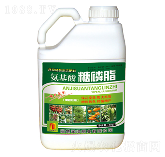 ����������֬-��(r��n)�ɷʘI(y��)